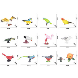 Natural World Flying Animal Toy Plastic Bird Modelo 3D en caja de exhibición Paquete - Product Image 6