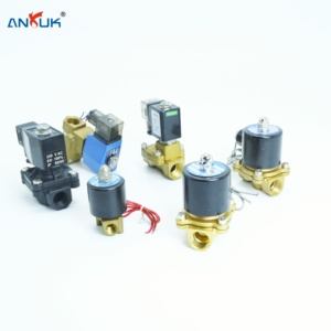 2W025 2W040 2W160 Inline Two Way <strong>Solenoid</strong> <strong>Valve</strong> DN2 DN4 DN10 For Precision Pneumatic <strong>Automation</strong> And Flow Control - Product Image 5