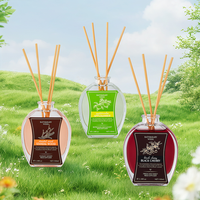 Diffuseur de parfum à roseaux de 100 ml pour hôtel et usage domestique, diffuseur de parfum floral et fruité, diffuseur de parfum, décoration d'intérieur
