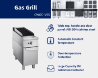 Grill à gaz autonome en acier inoxydable série 900 avec plaque de cuisson en pierre de lave pour restaurants et hôtels