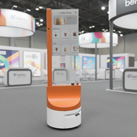 Robot Publicitario Móvil Inteligente Reeman con Pantalla OLED Transparente de 30 Pulgadas, Sistema Operativo Android, Montaje en Suelo, Wi-Fi Integrado, Señalización Digital