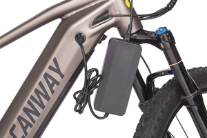 Bicicleta eléctrica para adultos, llanta ancha de aleación de aluminio, personalizada, 48V, 2022 W, gran oferta, 750 - Product Image 3