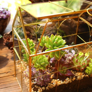 Geometrisches Haus-Terrarium aus Metall und Glas für Sukkulenten - Product Image 5