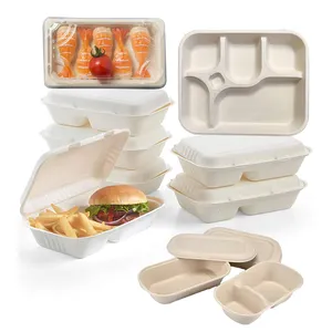 Biodegradable compostable takeway take-out container pulp rectangle 3 5 6 compartment food hamburger sushi sugarcane bagasse box