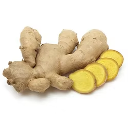 Gingembre frais biologique de Chine, qualité export, provenant du Shandong - Product Image 3
