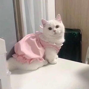 Lindo Vestido de Encaje Estilo Princesa Macaron para Gatos y Perros, Ropa Ligera de Verano para Mascotas, Rosa con Lazo - Product Image 3