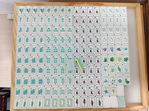 Fichas de Mahjong Americanas de Acrílico con Diseño de Perlas de Agua, 4 Niveles, 160 Cartas, Juego de Póker, Juego de Mahjong Americano para Entretenimiento, Tapete de Mahjong - Product Image 1