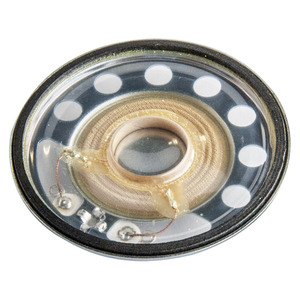 Altoparlante 8 Ohm per Telecamera, Diametro 6 Pollici, Altezza 3 Pollici - Product Image 1