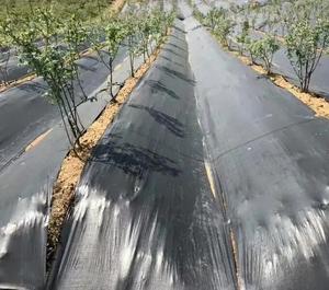 Contrôle des mauvaises herbes à bas prix d'usine pour lit <span class=keywords><strong>de</strong></span> fleurs, paillis, pavés, bordures, piquets <span class=keywords><strong>de</strong></span> jardin couverture du sol barrière contre les mauvaises herbes - Product Image 1