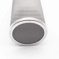 Filtre à café froid en acier inoxydable écologique personnalisé, panier filtrant 24*110 mailles, kit infuseur à thé, filtre pour bocal Mason