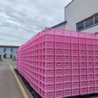 Cage de transport pour œufs de poulet, trous en plastique, caisses de transport pour œufs de poulet avec plateau à œufs, légères et durables