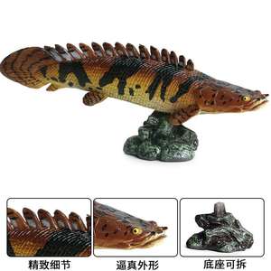 Yxs niños simulación océano modelo sólido agua dulce cocodrilo gar oro arowana punto dinosaurio pez animal juguete - Product Image 2