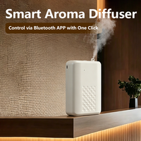 Diffuseur d'huiles essentielles sans eau portable à fixer au mur avec grande capacité