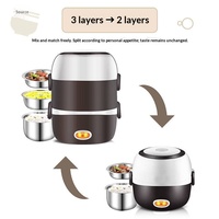 Boîte à lunch chauffante électrique portable, mini cuiseur à riz, chauffe-aliments à brancher, multifonctionnel pour le bureau, les voyages, la voiture, l'extérieur