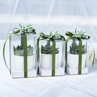 Boîte plastique en PVC avec ruban, 1 pièce, emballage pliable, plante, gâteau