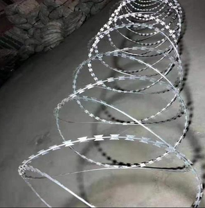 Alambre de púas tipo concertina de acero inoxidable galvanizado, alambre de seguridad antirrobo para protección de límites - Product Image 3
