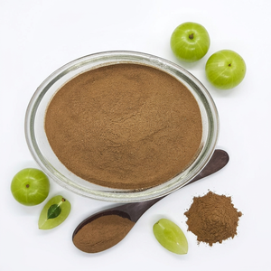 Poudre de fruits Amla à base de plantes pour cheveux bouclés et fins fabriquée en Inde - Product Image 1