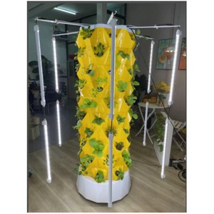 2023 Searea Système de plantation vertical hydroponique Serre en pleine croissance Tour de jardin Tour d'ananas avec lumière led - Product Image 1