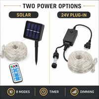 Guirlandes lumineuses LED en PVC commercial avec options d'alimentation solaire ou basse tension 24V