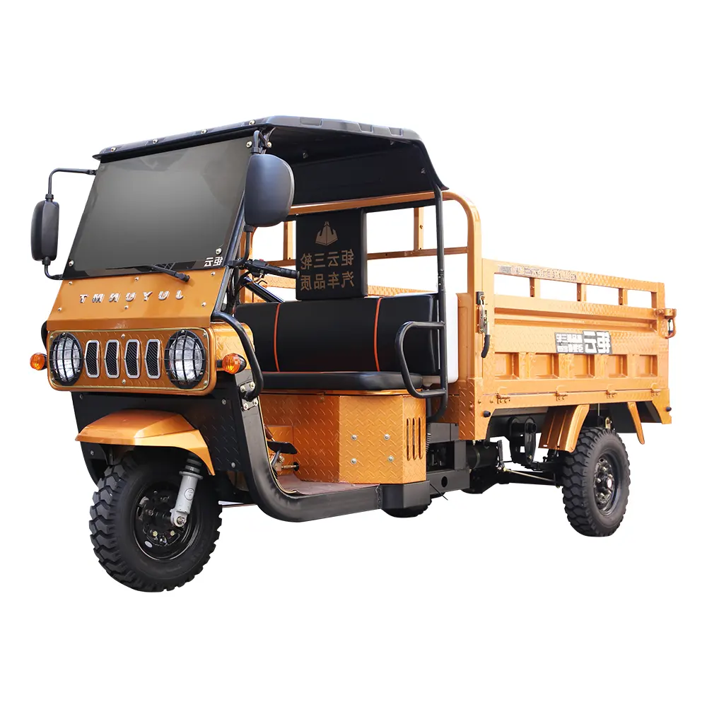 Cheap Electric Cargo Delivery Tuk Tuk Motorized Tricycles Rickshaw Food Delivery Motorcycle Petrol Motocarros Triciclo 250 Cc