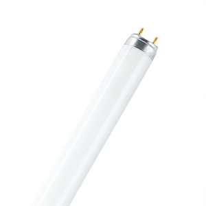 Tubo Fluorescente Standard T8 26mm 36W 6500K per Illuminazione - Product Image 2