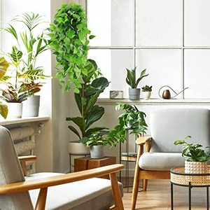 3.6ft <span class=keywords><strong>Faux</strong></span> <span class=keywords><strong>Lierre</strong></span> Vigne <span class=keywords><strong>Faux</strong></span> Feuilles de <span class=keywords><strong>Lierre</strong></span> pour Mur Maison <span class=keywords><strong>Chambre</strong></span> Patio Intérieur Extérieur Décor Artificiel Plantes Suspendues - Product Image 4