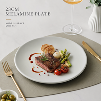 Assiettes à dîner en mélamine contemporaine de haute qualité, gris mat, durables, non toxiques, écologiques, rondes, pour restaurants et usage domestique, ensembles