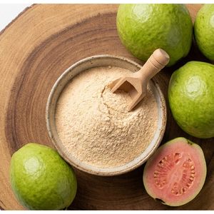 สารสกัดผงผลฝรั่ง (Psidium Guajava) จากผลไม้ คุณภาพอนุภาคละเอียด สำหรับใช้เป็นส่วนผสมในอุตสาหกรรม - Product Image 3