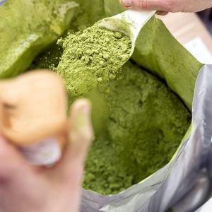 OEM ODM Matcha biologique 100% pur Sachet de 100g Originaire de Chine Poudre de thé vert Matcha Compléments alimentaires naturels à base de plantes Thé aromatisé - Product Image 4