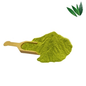 Feuilles de <span class=keywords><strong>Pandanus</strong></span> Amaryllifolius séchées de qualité alimentaire OEM, parfumées, en poudre, avec échantillons gratuits - Product Image 2