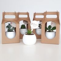Prix d'usine échantillon gratuit carton ondulé personnalisé en pot plante intérieure expédition plante boîte d'emballage