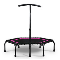 Trampoline de fitness intérieur de 48 pouces avec tubes en polypropylène et barres de maintien – Trampolines pour enfants et parcs de jeux – Trampoline pour l'exercice