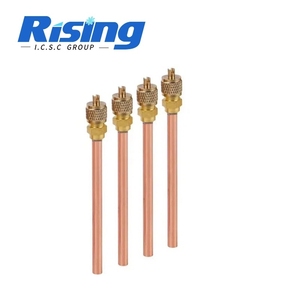 Válvula <span class=keywords><strong>de</strong></span> Servicio Schrader Rising <span class=keywords><strong>R134a</strong></span> 1/4 para HVAC, Válvula <span class=keywords><strong>de</strong></span> Acceso para <span class=keywords><strong>Carga</strong></span> <span class=keywords><strong>de</strong></span> Refrigerante AC, Válvula <span class=keywords><strong>de</strong></span> <span class=keywords><strong>Carga</strong></span> <span class=keywords><strong>de</strong></span> <span class=keywords><strong>Gas</strong></span> para Refrigerador - Product Image 1