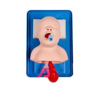 Modelo avanzado de intubación de tráquea pediátrica de PVC, maniquí de entrenamiento de vía aérea para bebés recién nacidos para ciencia médica