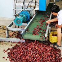 Déshydrateur alimentaire industriel à gaz séchoir à fruits séchoir à avocat séchoir à pruneaux prix de la machine à sécher les abricots