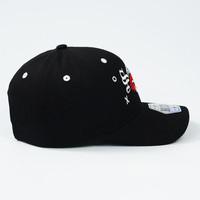 Sombreros Unisex de Alta Calidad a la Moda, Todos los Tipos, Venta al Por Mayor, Personalizables, Transpirables, Impermeables, 100% Algodón, para las Cuatro Estaciones