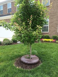 Bolsa de Riego por Goteo de PVC Resistente de 15 Galones, Anillo de Riego para Árboles, para Uso en Jardín y Hogar - Product Image 5