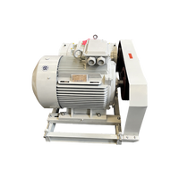 Blower Roots Besi Cor Tekanan Tinggi Rendah Kebisingan AC untuk Pompa Vakum Pabrik Pulp Kertas dengan Kustomisasi OEM dan 50Hz