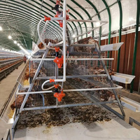Cage à poules pondeuses de type A, galvanisée à chaud, avec système d'alimentation automatique pour élevage avicole commercial