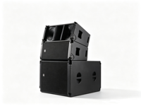 Système de sonorisation de concert passif professionnel Bi-Amp 8 Ohm Line Array Speaker avec double haut-parleur néodyme de 10 pouces LS-ERA20