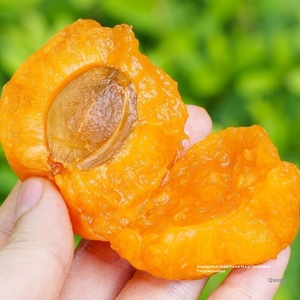 Albicocche Imperiali Gialle Grandi Fresche Appena Raccolte, Affettate, Essiccate con Acqua (AD), Confezione all'Ingrosso - Frutta Stagionale Non Verde - Product Image 1