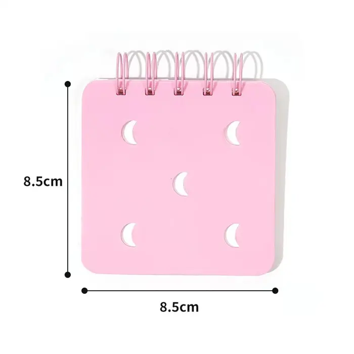 Luxe Premium Planner Accessoires papeterie Promotionnel Petite taille Kawaii Décoratif amovible épais carnet à spirale à vendre