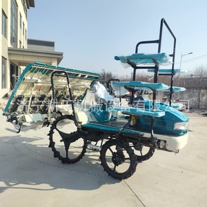 Trasplantadora de arroz de alta productividad de 8 filas, modelo 2ZG-8, con motor diésel. - Product Image 3