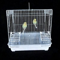 Jaula de Viaje Portátil para Loros, Transportín Ligero para Pájaros con Percha y Comederos, Jaula Transpirable para Pájaros Pequeños para Viajes al Veterinario