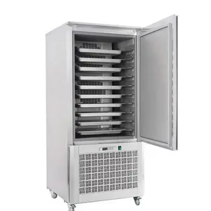 शीर्ष गुणवत्ता कम तापमान विस्फोट फ्रीजर कीमत हवा ठंडा तेजी से जमने की मशीन gelato विस्फोट फ्रीजर औद्योगिक के लिए बिक्री