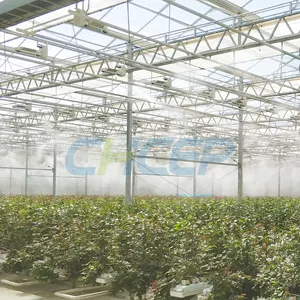 Nebbia artificiale paesaggio attrezzatura per nebbia d'acqua giardino paesaggistico sistema di spruzzatura ad alta pressione spruzzatura intelligente di frequenza