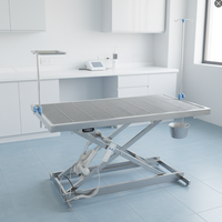 Table chirurgicale vétérinaire électrique mini et grande, en acier inoxydable, hauteur réglable, filtre détachable, commande manuelle, pour clinique vétérinaire