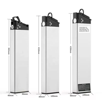 Baterai Lithium untuk sepeda listrik, EP-2 sepeda listrik PRO/mesin PRO/mesin X 48V 13/16AH baterai Lithium