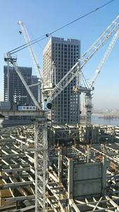 High Quality Rotary Arm Luffing Tower Crane with <b>Gear</b> <b>Motor</b> Bearing & Engine for Construction Use 3-100 Ton Capacity - Product Image 3