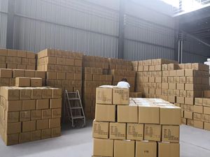 ใหม่ E + H endress + Hauser 100% ต้นฉบับ liquifloat T FTS20 ac/dc 316L สแตนเลส IP66รับประกัน18เดือน - Product Image 4